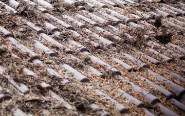 East Skelston roof cleaning companies