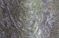 East Skelston fibreglass roof work